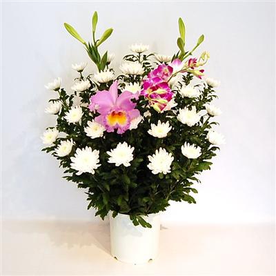 供花 スタンド和花