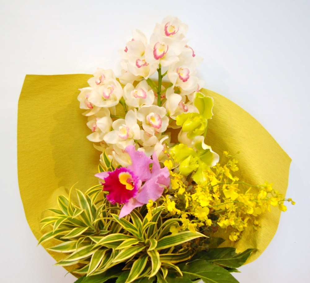花束 蘭系